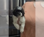 Image preview for Ad Listing. Nickname: Cassie