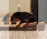 Small #2 Rottweiler