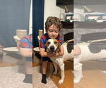 Small #1 Mutt