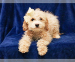 Image preview for Ad Listing. Nickname: Stan