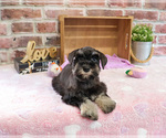 Image preview for Ad Listing. Nickname: Charity