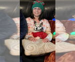 Small #1 Breeder Profile image