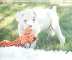 Image preview for Ad Listing. Nickname: Emma