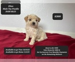 Image preview for Ad Listing. Nickname: Elias