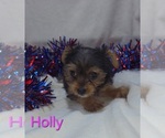 Image preview for Ad Listing. Nickname: Holly