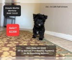 Image preview for Ad Listing. Nickname: Morticia