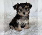 Image preview for Ad Listing. Nickname: LAYNE