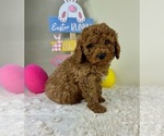 Image preview for Ad Listing. Nickname: Jaxson