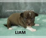 Image preview for Ad Listing. Nickname: Liam