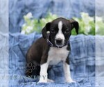 Image preview for Ad Listing. Nickname: Kelsey