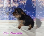 Image preview for Ad Listing. Nickname: Claudette