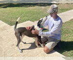 Small #1 Borador