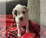 Image preview for Ad Listing. Nickname: Angel