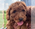 Image preview for Ad Listing. Nickname: Curly Dark Girl
