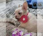 Image preview for Ad Listing. Nickname: Diamond