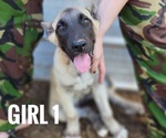 Image preview for Ad Listing. Nickname: Girl 1