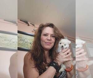 Mother of the Pomeranian puppies born on 05/01/2025
