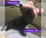 Image preview for Ad Listing. Nickname: Magnolia