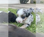Image preview for Ad Listing. Nickname: Willa