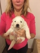Small Photo #7 Great Pyrenees Puppy For Sale in RED HOUSE, WV, USA