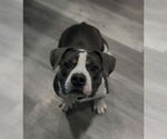 Small #2 Breeder Profile image