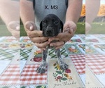  - Photo #2