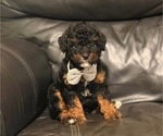 Image preview for Ad Listing. Nickname: Remi