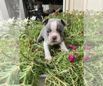 Image preview for Ad Listing. Nickname: Gunner