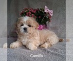 Image preview for Ad Listing. Nickname: Camilla
