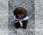 Image preview for Ad Listing. Nickname: Evan