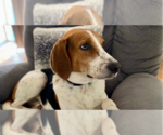 Small #3 Breeder Profile image