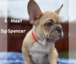 Image preview for Ad Listing. Nickname: Spencer