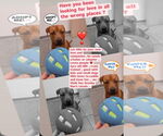 Small #5 American Staffordshire Terrier Mix