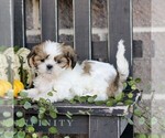Image preview for Ad Listing. Nickname: Flora