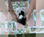  - Photo #3