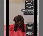 Image preview for Ad Listing. Nickname: Emma
