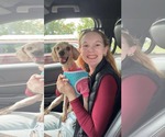 Small #1 Poodle (Standard)