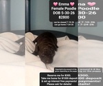 Image preview for Ad Listing. Nickname: Emma