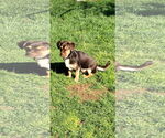 Small #2 Daug