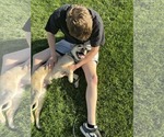 Small #5 Mutt