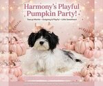 Image preview for Ad Listing. Nickname: Harmony