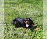 Image preview for Ad Listing. Nickname: Landyn