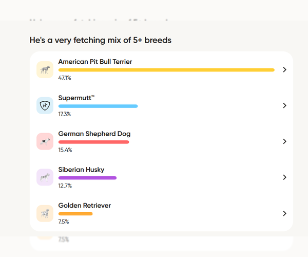 Medium Photo #4 American Pit Bull Terrier-German Shepherd Dog Mix Puppy For Sale in McDonough, GA, USA