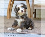 Image preview for Ad Listing. Nickname: Hazel
