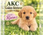 Image preview for Ad Listing. Nickname: Kiara