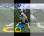 Image preview for Ad Listing. Nickname: Stormy