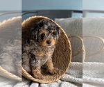 Image preview for Ad Listing. Nickname: Glut