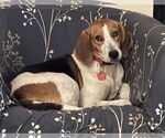Small #3 Breeder Profile image