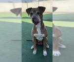 Small #3 Breeder Profile image