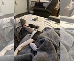 Small Photo #2 American Pit Bull Terrier-Unknown Mix Puppy For Sale in Germantown, OH, USA
